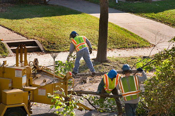 Columbia, IL Tree Service Company